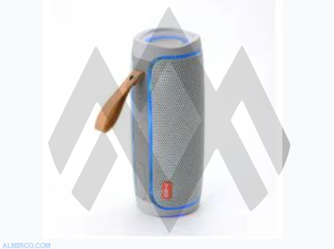 287 Portable Wireless Speaker