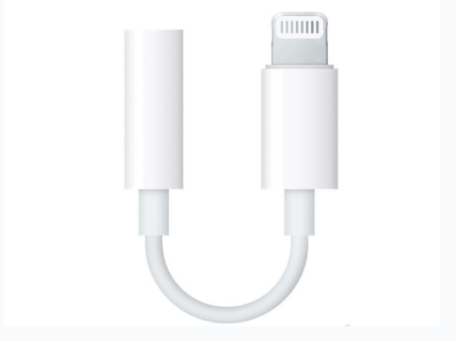 Lightning to Aux Adapter